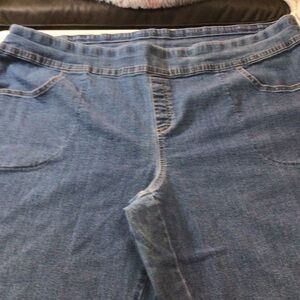 Plus size jeans size 2X Terra &Skyelot736